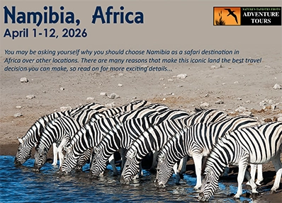 Namibia, Africa 2026